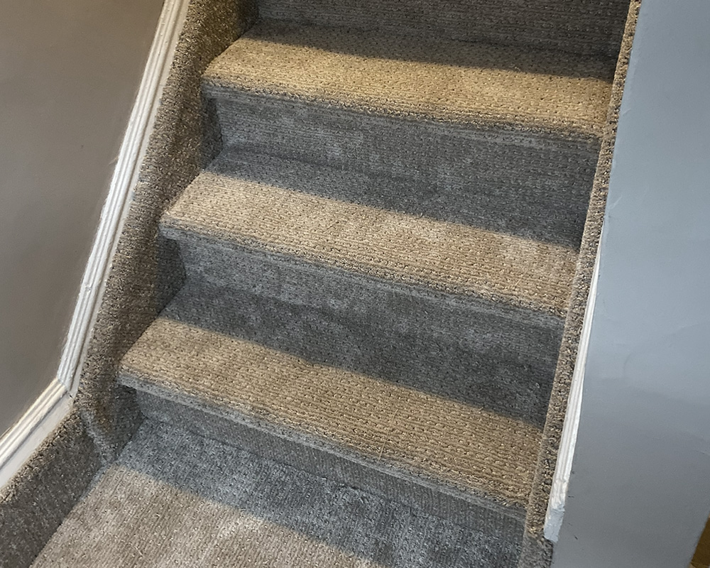 Carpet Care and Maintenance Carpet Care and Maintenance